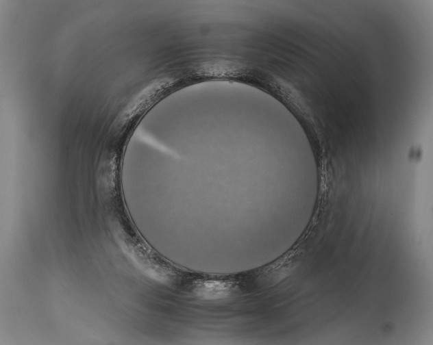 X0000114680163200911121504