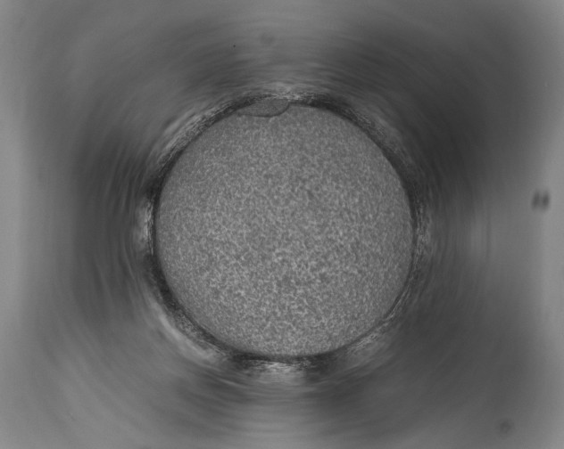 X0000114680166200911121504