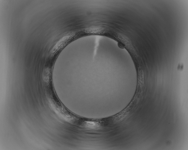 X0000114680167200911121504