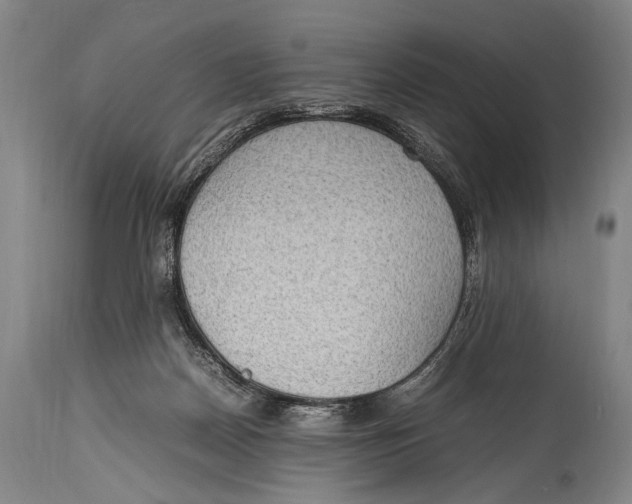 X0000114680170200911121504
