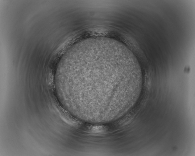X0000114680173200911121504