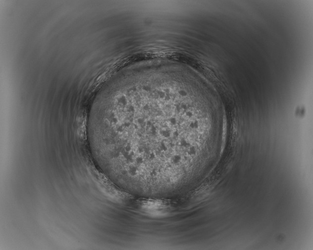 X0000114680177200911121504