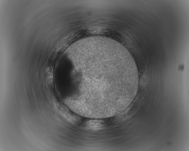 X0000114680179200911121504