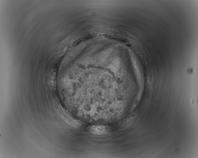 X0000114680181200911121504