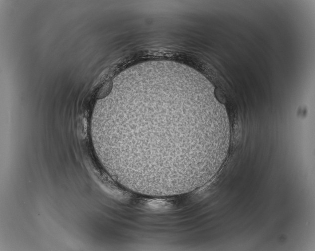 X0000114680183200911121504