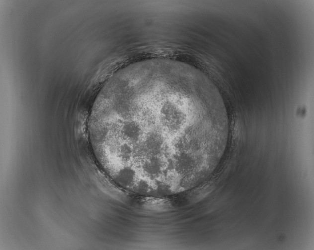 X0000114680185200911121504