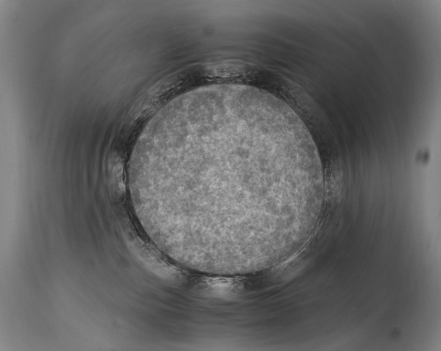 X0000114680187200911121504