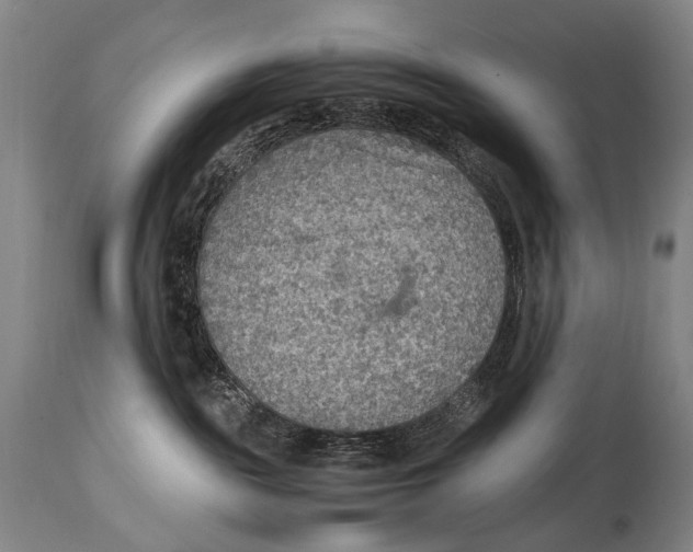 X0000114680189200911121504
