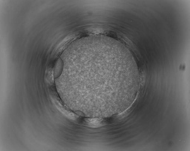 X0000114680191200911121504