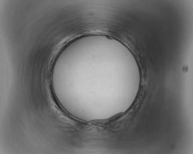 X0000114680193200911121503