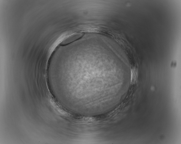X0000114680195200911121503