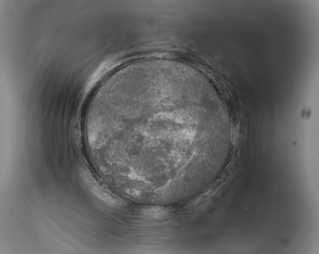 X0000114680198200911121503
