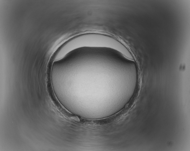 X0000114680199200911121503