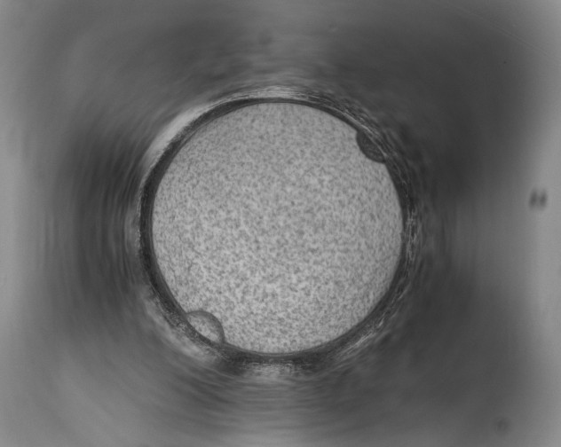 X0000114680200200911121503
