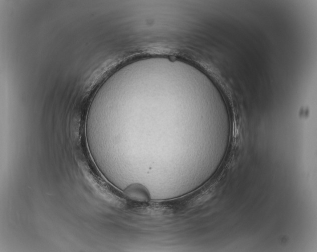 X0000114680201200911121503