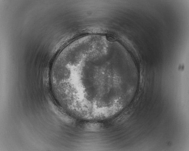 X0000114680202200911121503