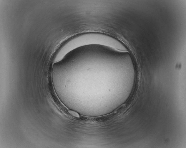 X0000114680203200911121503