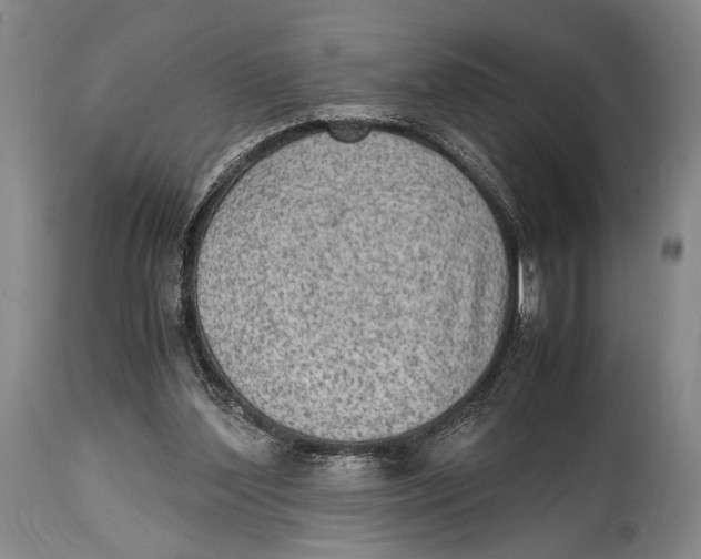 X0000114680204200911121503