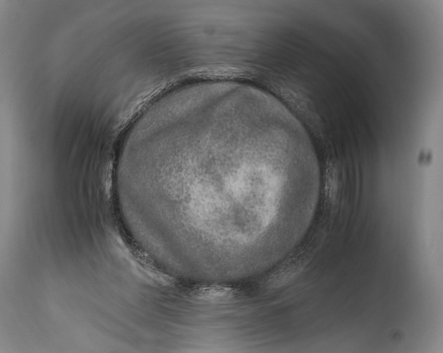 X0000114680206200911121503