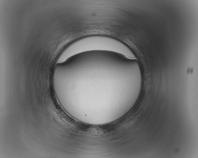 X0000114680207200911121503