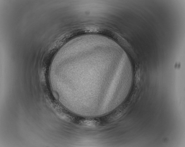 X0000114680209200911121503