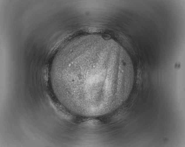 X0000114680210200911121503