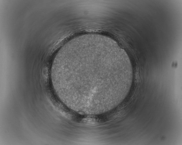 X0000114680211200911121503