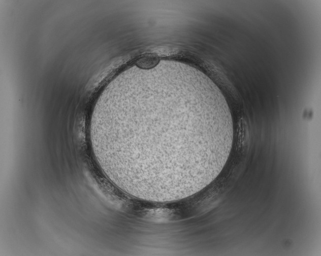 X0000114680212200911121503