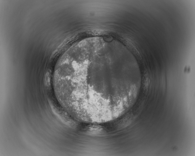 X0000114680214200911121503