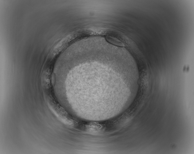 X0000114680215200911121503