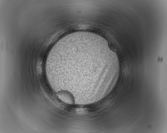 X0000114680216200911121503