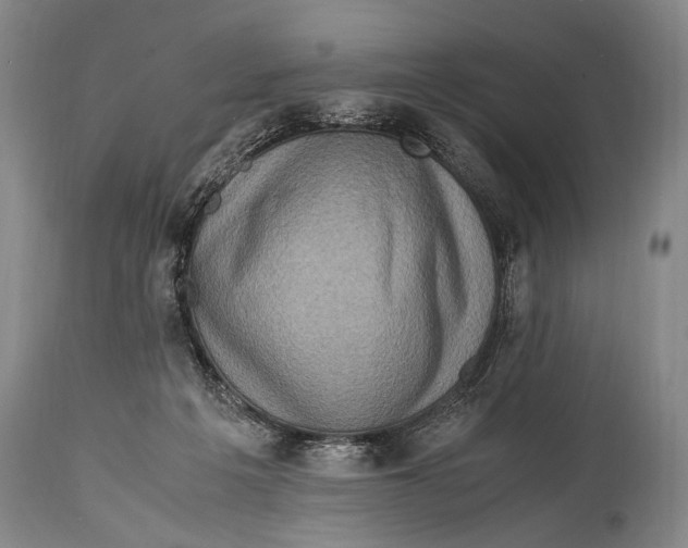 X0000114680217200911121503