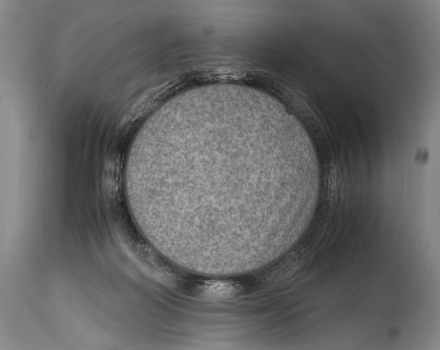X0000114680218200911121503