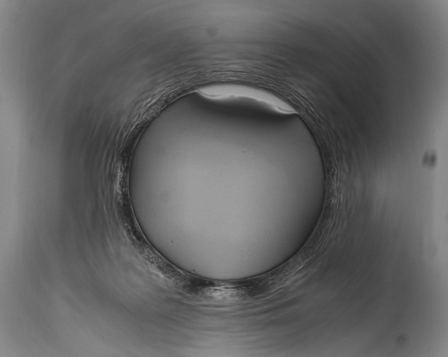 X0000114680219200911121503