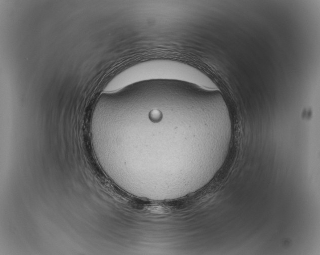 X0000114680221200911121503