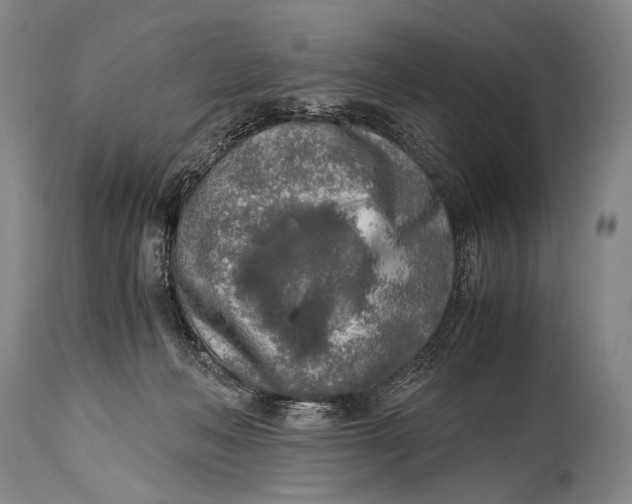 X0000114680222200911121503