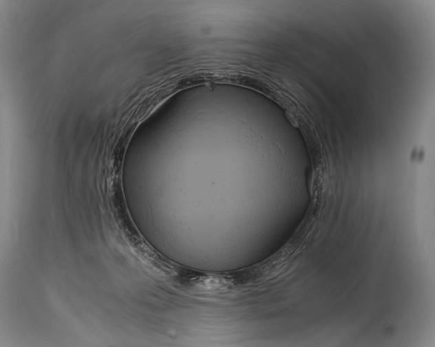 X0000114680223200911121503