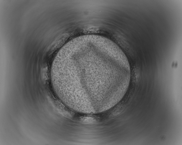 X0000114680224200911121503