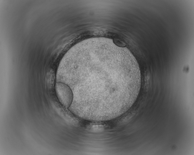 X0000114680228200911121503