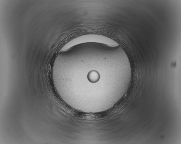 X0000114680229200911121503