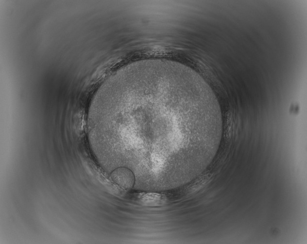X0000114680230200911121503