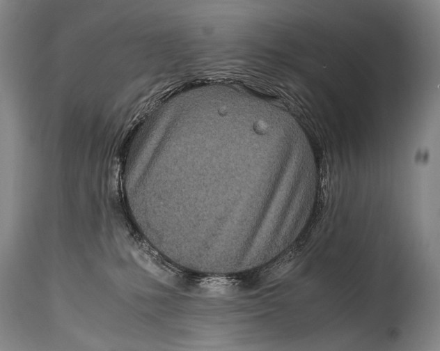 X0000114680231200911121503
