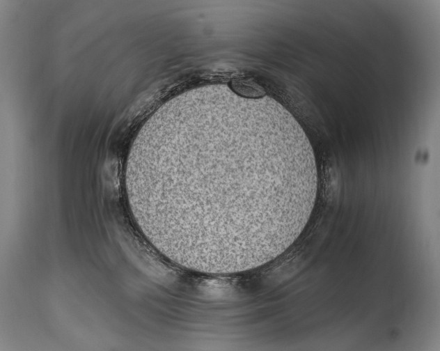 X0000114680232200911121503