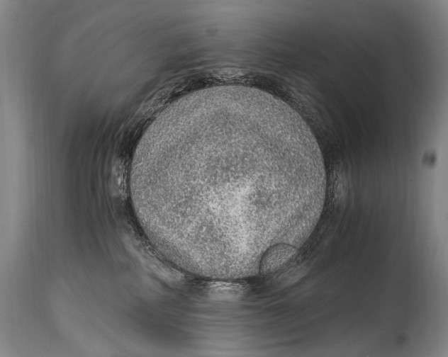 X0000114680234200911121503