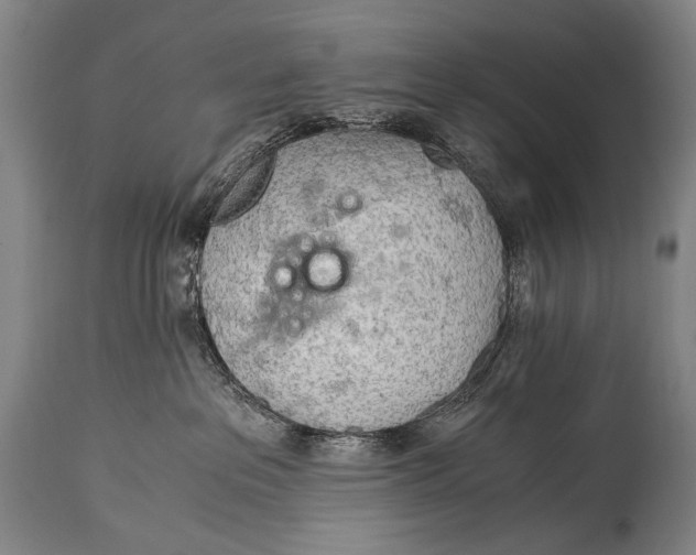 X0000114680237200911121503