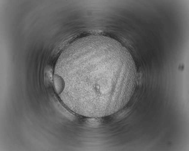 X0000114680238200911121503