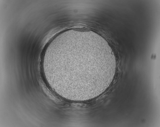 X0000114680242200911121502