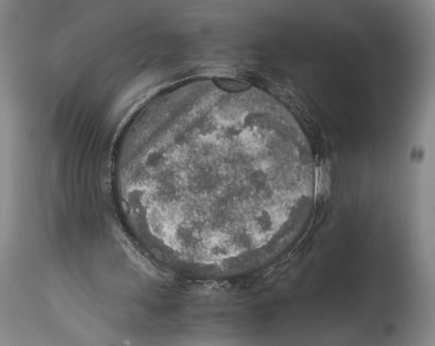 X0000114680243200911121502