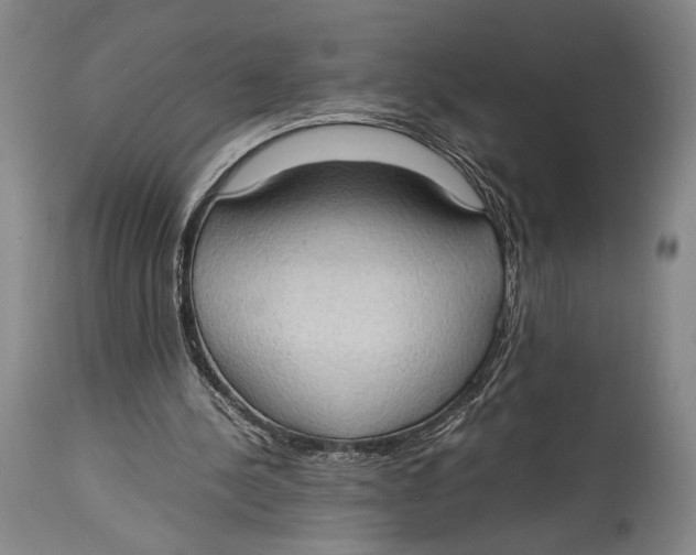 X0000114680244200911121502