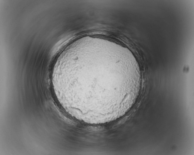 X0000114680245200911121502